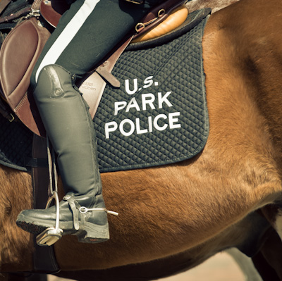 United States Park Police, Mounted Division. Washington DC. (Judge Mark Kearney's Ruling.)