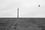 Crow, light post at Margaret Bourke-White steps. Washington DC.