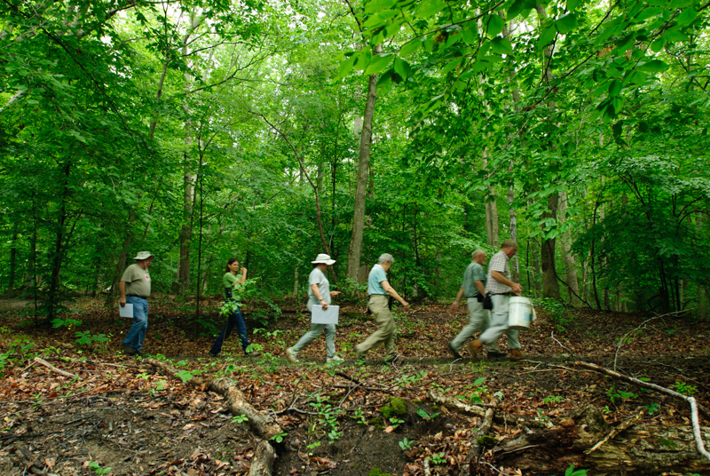 Jug Bay, Maryland. Bird banding crew.