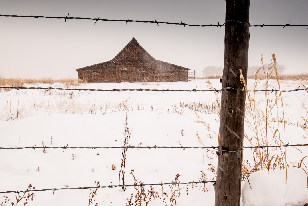 moulton barn at mormon row, jackson hole Wyoming